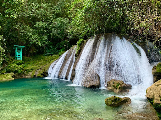 Reach falls Portland Jamaica